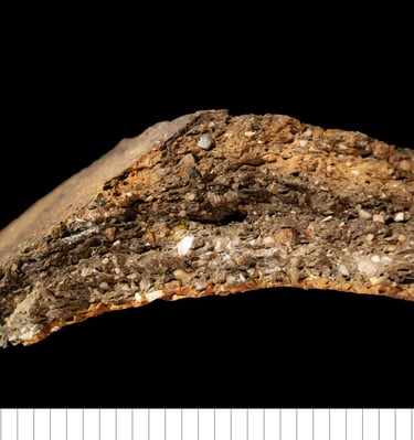 EMWFL - EMW with common flint