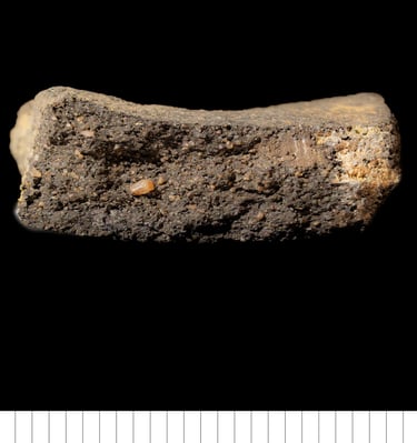 ESFS - Early Anglo-Saxon fine sandy