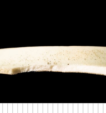 PORC - British/European porcelain