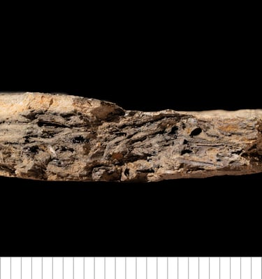 ESO1 - Early Anglo-Saxon grass tempered