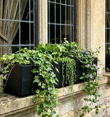 elegant exterior wooden planter painted in black with patio tree made from wood