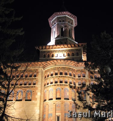 Nicolae Domnesc Iasi