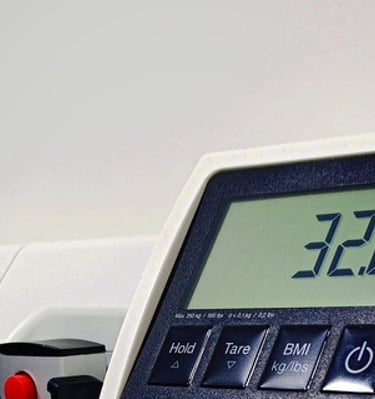 Professional scale