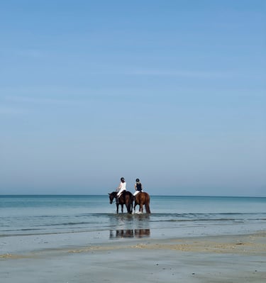 chevaux sur la plage