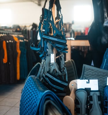 Halfter bei Equiverita - Reitsport