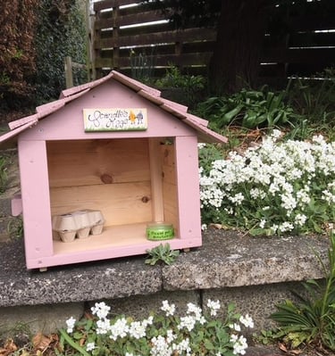 a small wooden egg box storage hut
