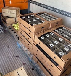 a truck with boxes of boxes of boxes of boxes