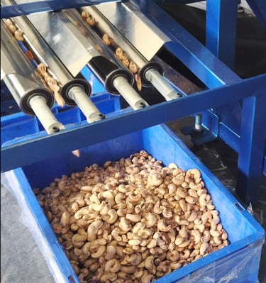 cashew kernel roller