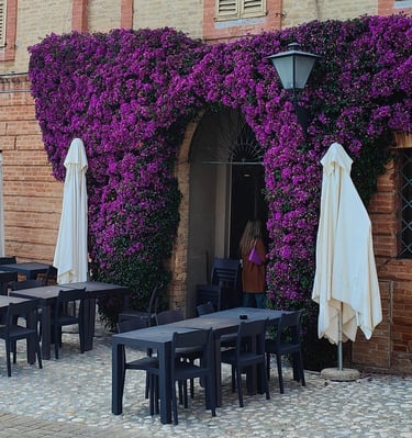 🍽️ Migliore ristorante di Grottammare by Indieblondie® from Le Marche in Italy™