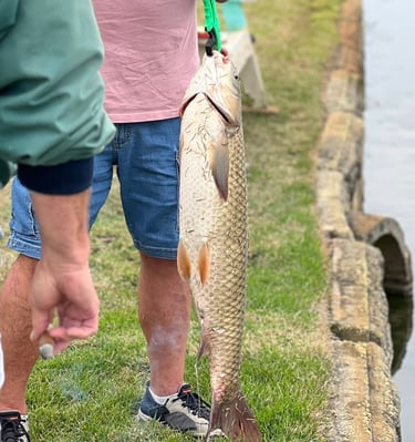 Private Fishing Lake: Cast a line in the catch-and-release stocked lake.