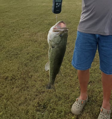 Private Fishing Lake: Cast a line in the catch-and-release stocked lake.