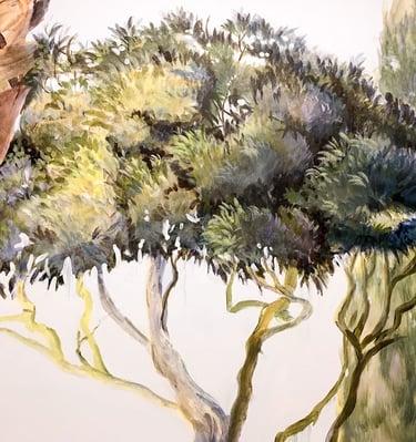 Close look at sun-lit tree crown with thick foliage and a cypress in the back.