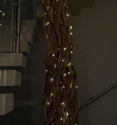 arbol de raices con luces dentro de una casa