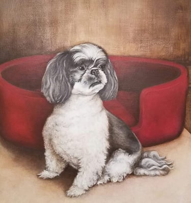 "Shih Tzu by Red Bed", acrylic on 20x20 canvas, Laura Roy artist, 2017