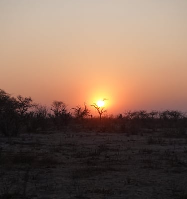 Sunset while on safari at Chamabondo National Park in Victoria Falls