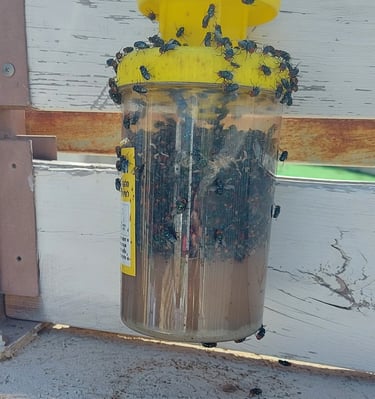 דותן המדביר - מדביר מורשה אור עקיבא