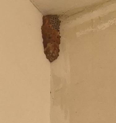 דותן המדביר - מדביר מורשה אור עקיבא