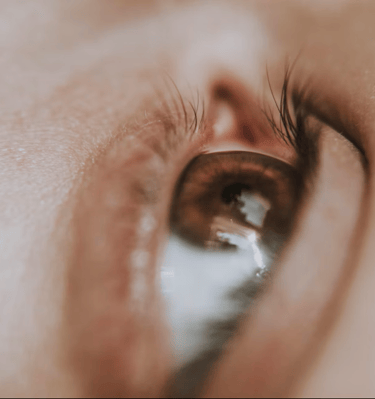 Professional eyes and brows services in Bradford