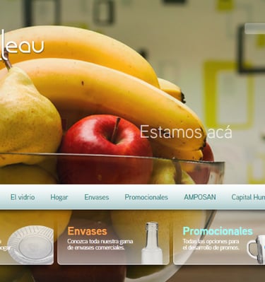 Primer sitio desarrollado para Rigolleau Argentina