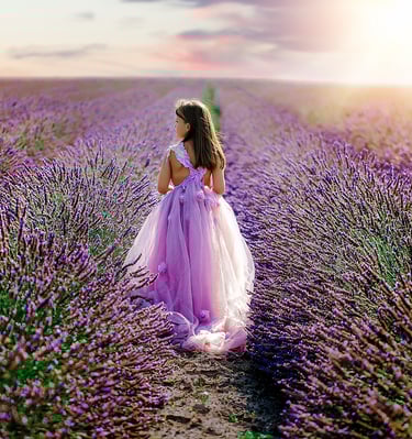 A young girl in a purple tulle dress walking through a blooming lavender field at sunset.