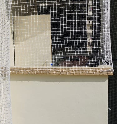 Side view of a building facade protected by tightly secured pigeon nets.