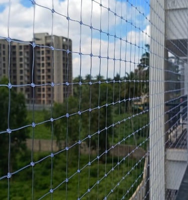 Wide shot showing anti-pigeon nets covering a large window on OMR Road.