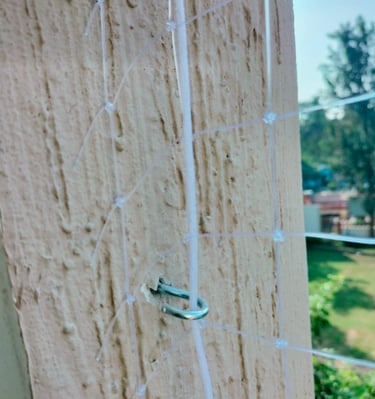 Technician from Arjilli Enterprises carefully fixing a pigeon net on a window frame.