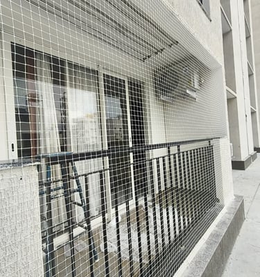Wide shot showing a large pigeon net covering a commercial building facade.