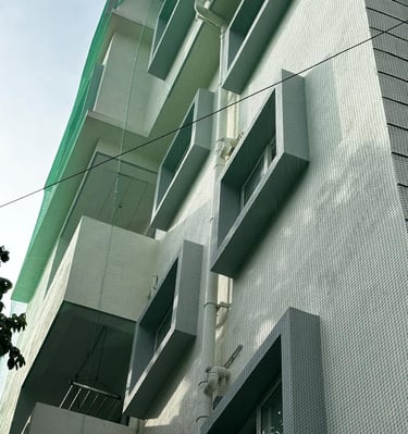 Wide shot showing a building facade with multiple pigeon safety nets installed by Arjilli Enterprise