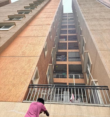 Wide view showing a building facade fitted with safety nets to prevent pigeon entry.