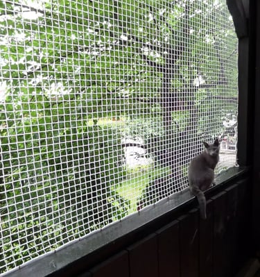 Wide shot showing a high-rise balcony fully enclosed with a protective net.