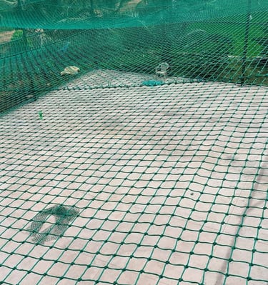 A rooftop cricket net installation with clear blue sky in Bengaluru.