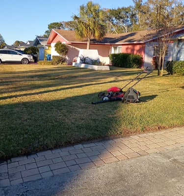 Freshly cut grass with a beautiful edge and gorgeous stripes 🤩