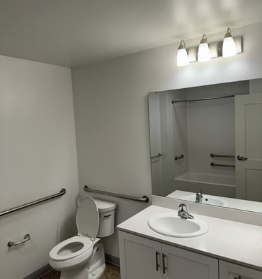 Bathroom cleaning by sol cleaners