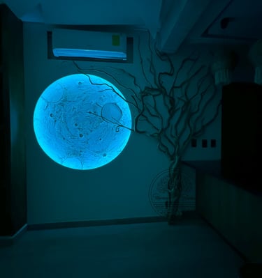 raíz lunar led