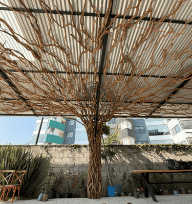 Árbol mediano hecho con raíces