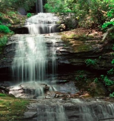 Amicalola Falls State Park