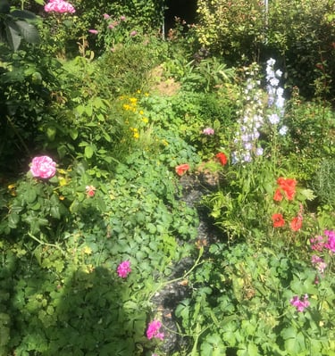 les fleurs du jardin de la longère
