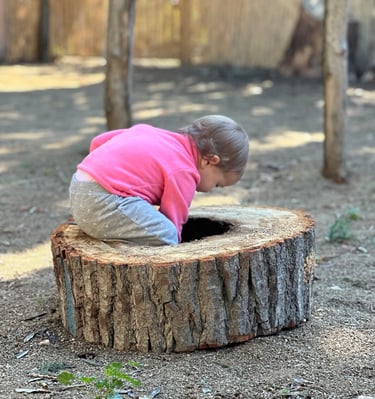 Infant assegut sobre un tronc buit jugant a l’exterior