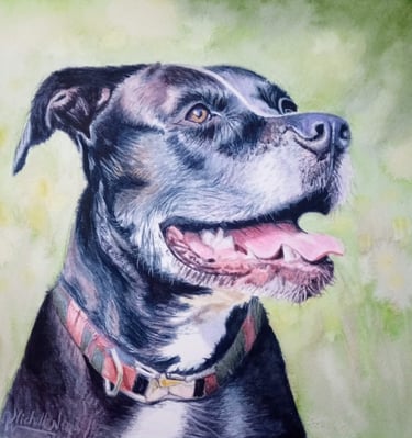 Pet Portrait painting