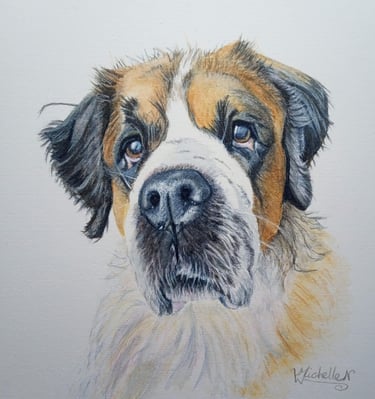 Pet Portrait Commissioned, St Bernard