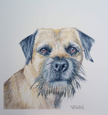 Pet Portrait Commissioned, Terrier