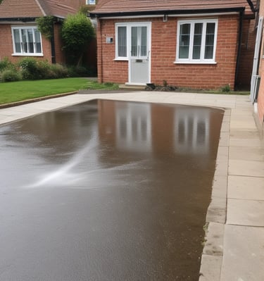 yellow sunflower field during daytime