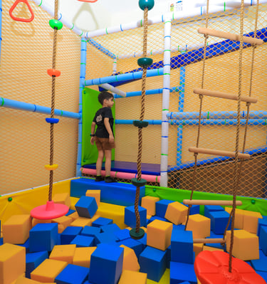 jungle Gym for kids