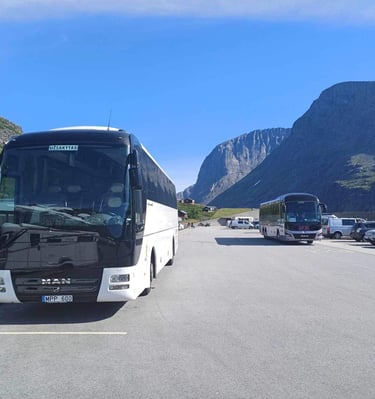 Autobuso nuoma Kaune