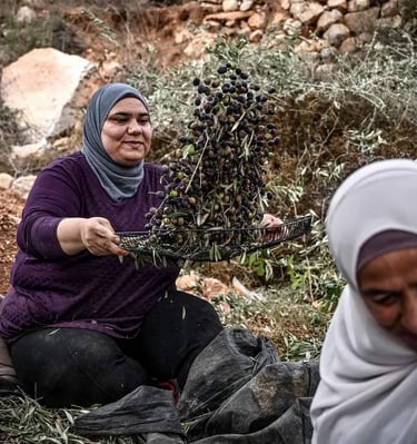 Help our palestinians farmers families with your donations.