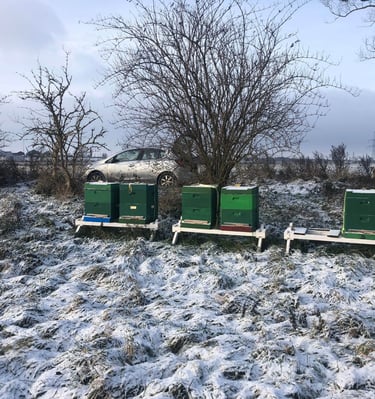 Bienenstand im Winter