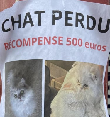Je mets fin à la perte des animaux de compagnie , spécialement les chats.