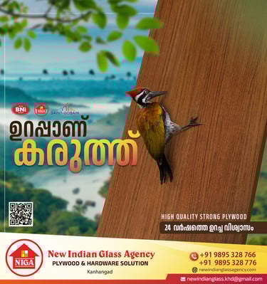 Best Digital Marketing Agency in kasaragod offers creative poster for NIGA
