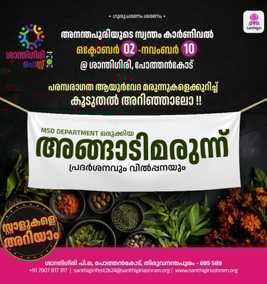 Best Digital Marketing Agency in kasaragod offers creative poster for shanthigiri fest